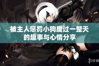 被主人惩罚小狗度过一整天的趣事与心情分享