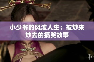 小少爷的风波人生：被炒来炒去的搞笑故事