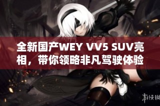 全新国产WEY VV5 SUV亮相，带你领略非凡驾驶体验