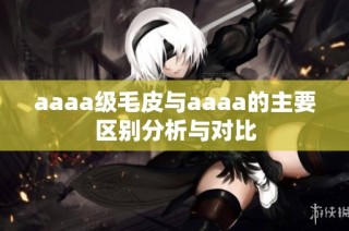 aaaa级毛皮与aaaa的主要区别分析与对比