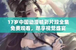 17岁中国动漫精彩片段全集免费观看，尽享视觉盛宴