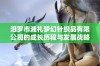 汨罗市湘礼梦幻针织品有限公司的成长历程与发展战略分析