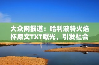 大众网报道：哈利波特火焰杯原文TXT曝光，引发社会热议与粉丝追捧