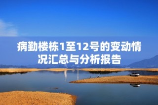 病勤楼栋1至12号的变动情况汇总与分析报告