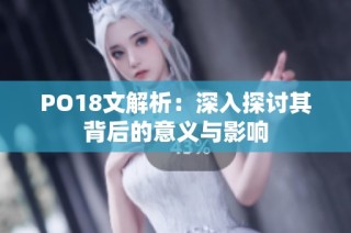 PO18文解析：深入探讨其背后的意义与影响