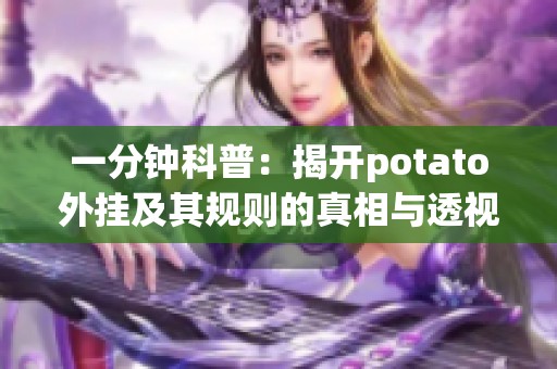 一分钟科普：揭开potato外挂及其规则的真相与透视功能