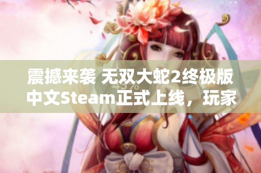 震撼来袭 无双大蛇2终极版中文Steam正式上线，玩家热情燃烧