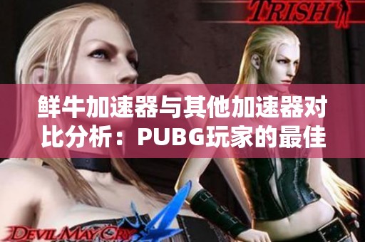 鲜牛加速器与其他加速器对比分析：PUBG玩家的最佳选择