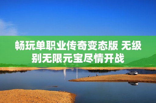 畅玩单职业传奇变态版 无级别无限元宝尽情开战