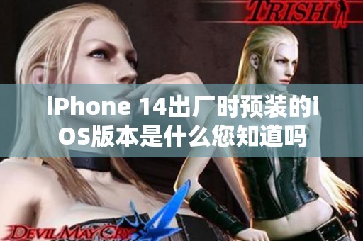 iPhone 14出厂时预装的iOS版本是什么您知道吗