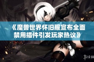 《魔兽世界怀旧服宣布全面禁用插件引发玩家热议》