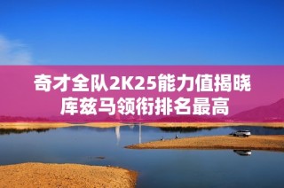 奇才全队2K25能力值揭晓 库兹马领衔排名最高