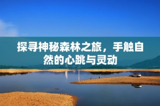 探寻神秘森林之旅，手触自然的心跳与灵动