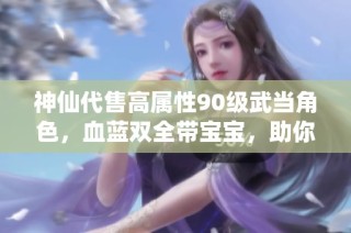 神仙代售高属性90级武当角色，血蓝双全带宝宝，助你畅游游戏世界