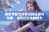 探索黄色仓库背后的秘密与故事，揭示它的独特魅力