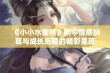 《小小水蜜桃》剧中情感纠葛与成长历程的精彩呈现