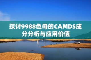 探讨9988色母的CAMDS成分分析与应用价值