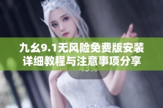九幺9.1无风险免费版安装详细教程与注意事项分享