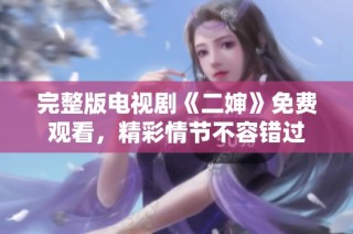 完整版电视剧《二婶》免费观看，精彩情节不容错过