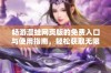 畅游漫蛙网页版的免费入口与使用指南，轻松获取无限乐趣