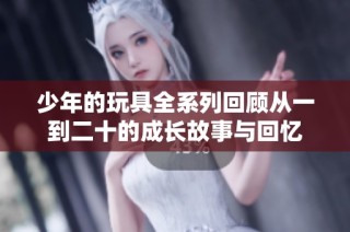 少年的玩具全系列回顾从一到二十的成长故事与回忆