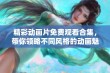 精彩动画片免费观看合集，带你领略不同风格的动画魅力