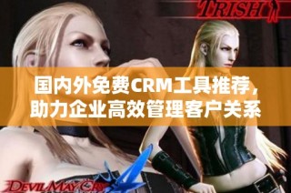 国内外免费CRM工具推荐，助力企业高效管理客户关系