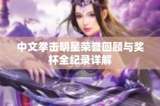 中文拳击明星荣誉回顾与奖杯全纪录详解