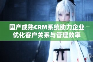 国产成熟CRM系统助力企业优化客户关系与管理效率