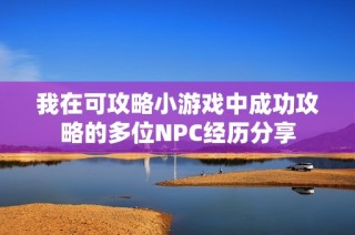 我在可攻略小游戏中成功攻略的多位NPC经历分享