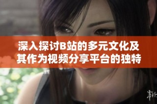 深入探讨B站的多元文化及其作为视频分享平台的独特魅力