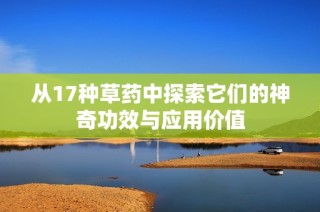 从17种草药中探索它们的神奇功效与应用价值