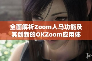 全面解析Zoom人马功能及其创新的OKZoom应用体验