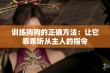 训练狗狗的正确方法：让它乖乖听从主人的指令