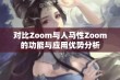 对比Zoom与人马性Zoom的功能与应用优势分析