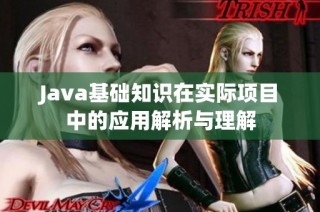 Java基础知识在实际项目中的应用解析与理解