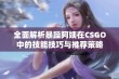 全面解析暴躁阿姨在CSGO中的技能技巧与推荐策略