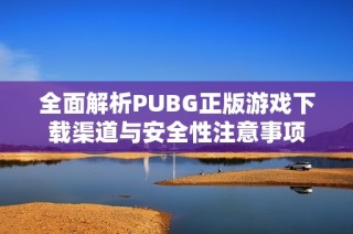 全面解析PUBG正版游戏下载渠道与安全性注意事项