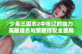 少年三国志2中张辽的强力英雄组合与策略搭配全面解析与攻略分享