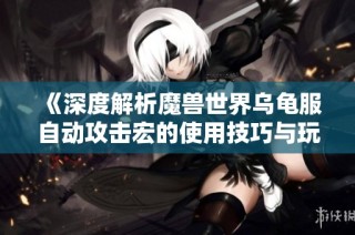 《深度解析魔兽世界乌龟服自动攻击宏的使用技巧与玩法》