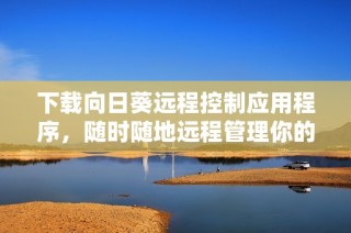 下载向日葵远程控制应用程序，随时随地远程管理你的设备