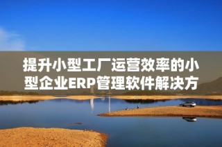 提升小型工厂运营效率的小型企业ERP管理软件解决方案