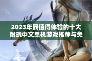 2023年最值得体验的十大耐玩中文单机游戏推荐与免费下载合集