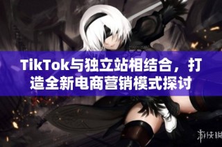 TikTok与独立站相结合，打造全新电商营销模式探讨