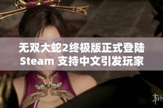 无双大蛇2终极版正式登陆Steam 支持中文引发玩家热议与期待