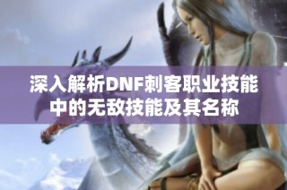 深入解析DNF刺客职业技能中的无敌技能及其名称