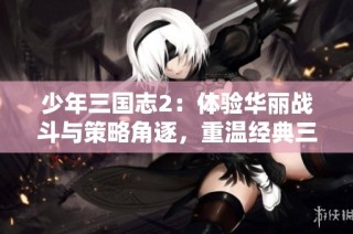 少年三国志2：体验华丽战斗与策略角逐，重温经典三国历史魅力