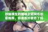 妙趣横生的猫咪主题网名创意推荐，你准备好取名了吗