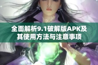 全面解析9.1破解版APK及其使用方法与注意事项