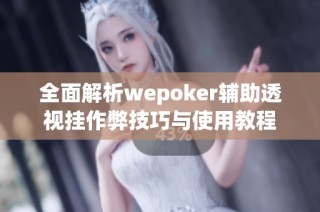 全面解析wepoker辅助透视挂作弊技巧与使用教程